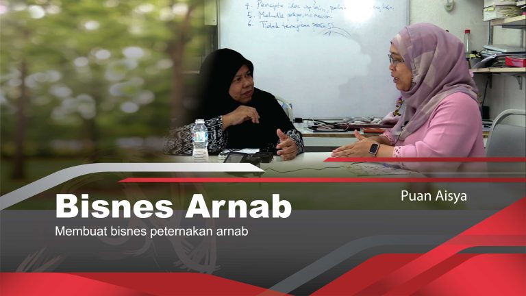 Memulakan Bisnes Arnab Pedaging – Puan Aisya